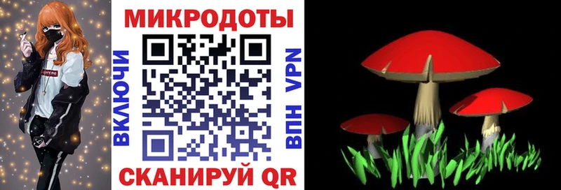 Галлюциногенные грибы GOLDEN TEACHER  цена наркотик  Краснозаводск 